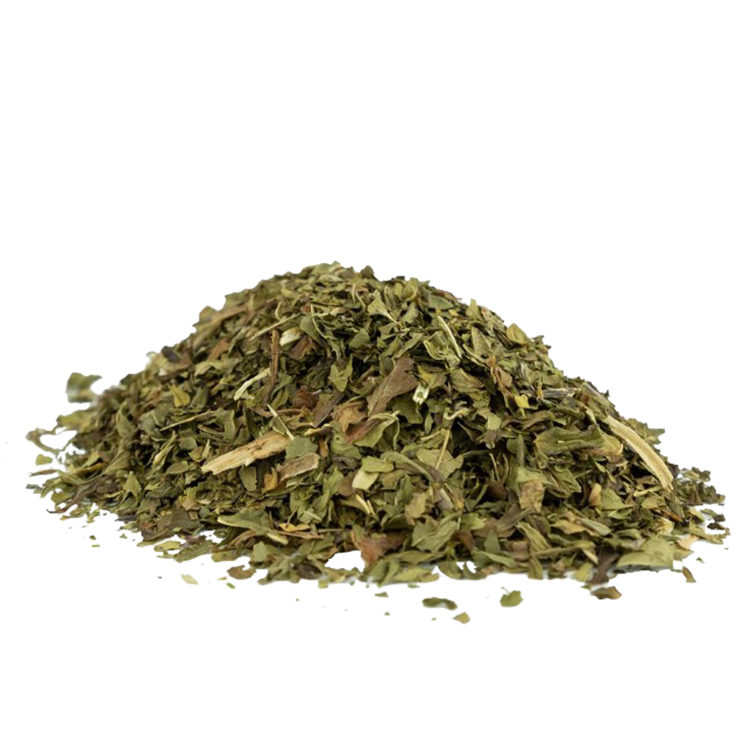 Menthe Majestique | Thé à la menthe