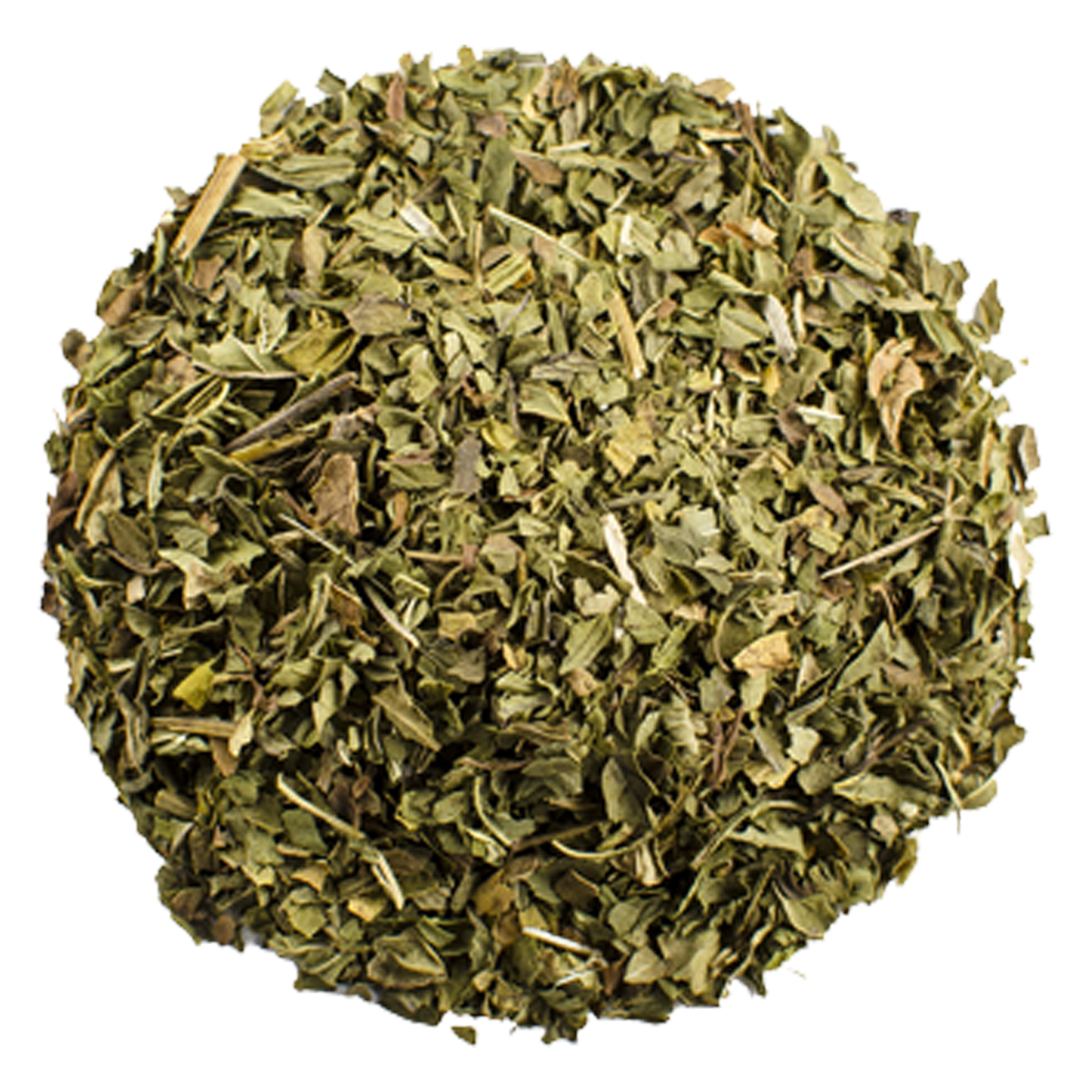 Menthe Majestique | Thé à la menthe